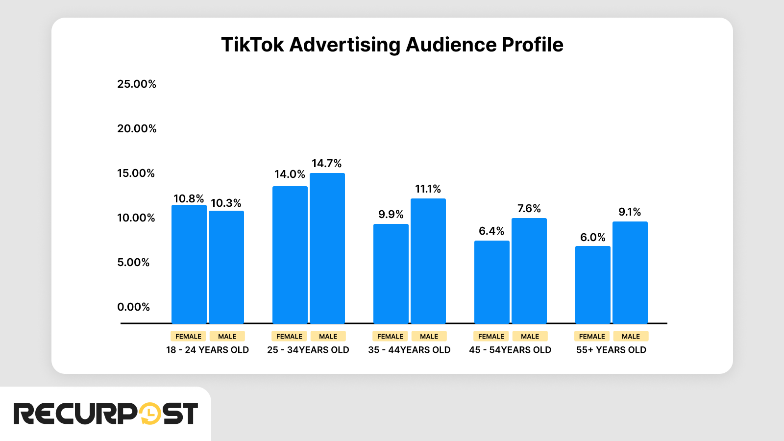 TikTok Advertising Audience Profile 