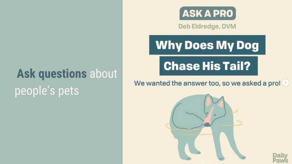 Ask questions about people's pets