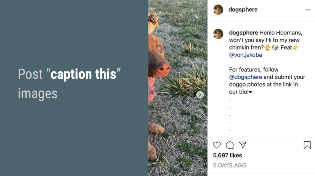 Set caption for instagram post