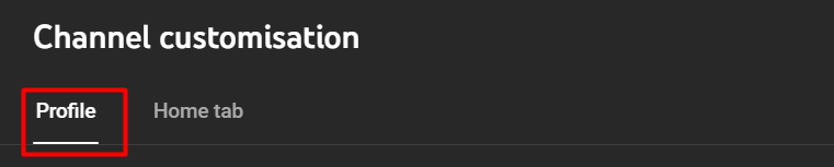youtube channel customisation - profile tab