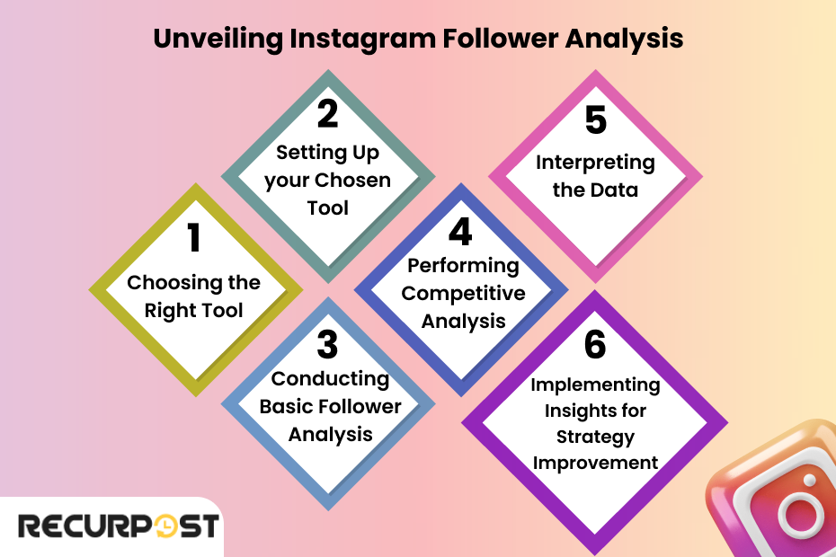 Unveiling Instagram Follower Analysis