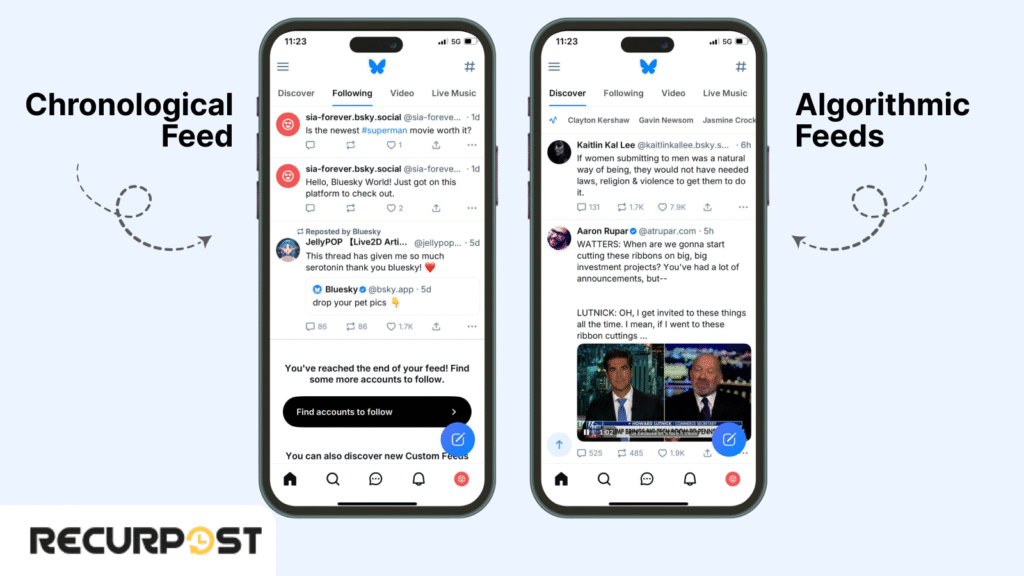 Chronological Feed vs Algorithmic Feeds